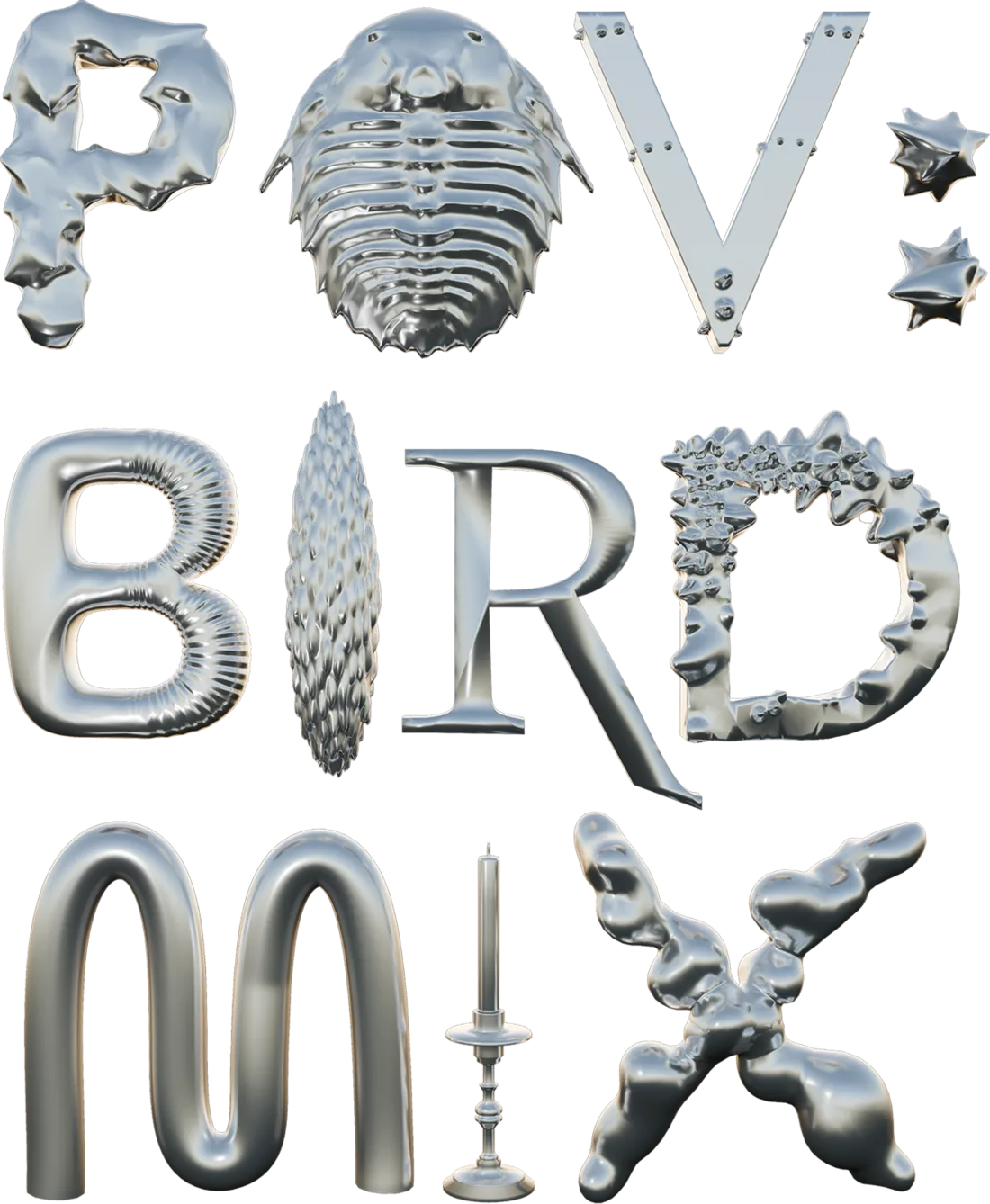 POV: BIRD MIX
